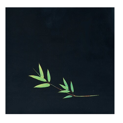 OPクリア四季 笹(200枚入) OS−15−3