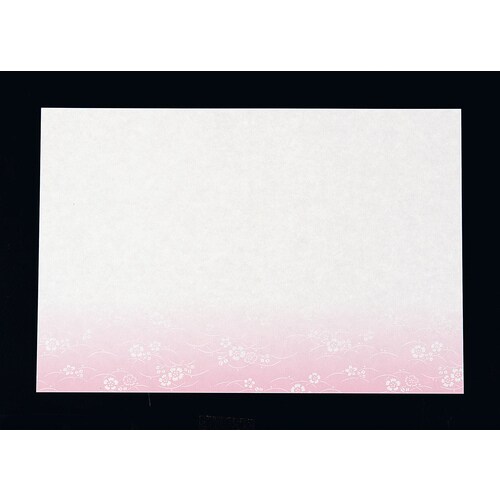 尺三まっと華かすみ(100枚) なでしこ K−08