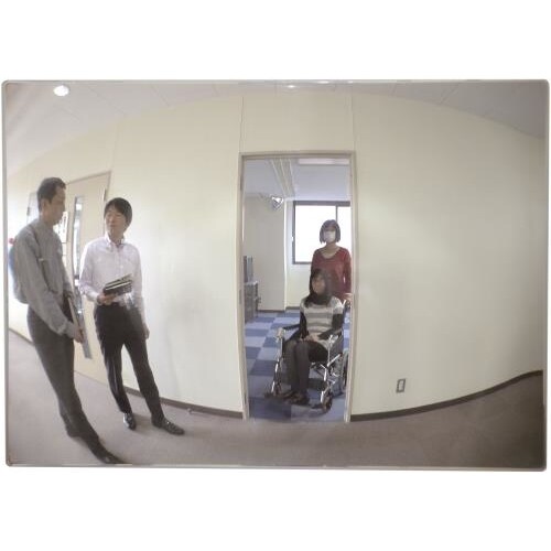 フラット型凸面機能ミラー 220x165mm