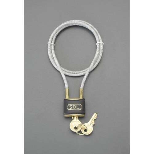 ワイヤー錠 750mm