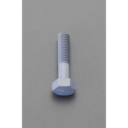 ボルト(塩化ビニール製/10本) M8×55mm
