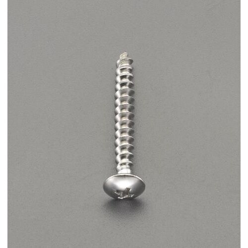 ドリルビスALC用/トラス頭/30本 6×40mm