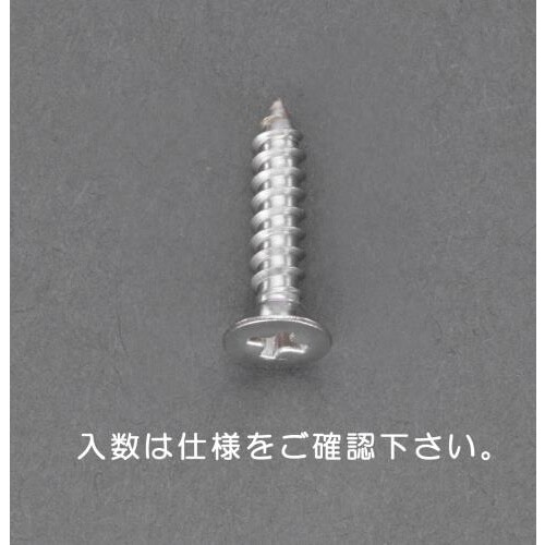 皿頭タッピングビス(10本)6x100mm