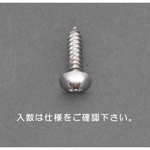 トラス頭タッピングビス(10本)4x90mm