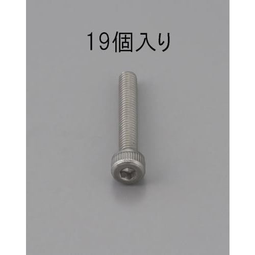 六角穴付ボルト(ステンレス製/19本)