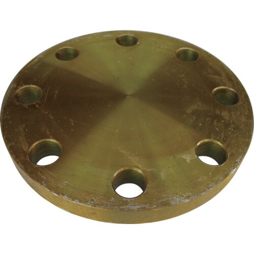 黒 閉止フランジ 5BLF100A