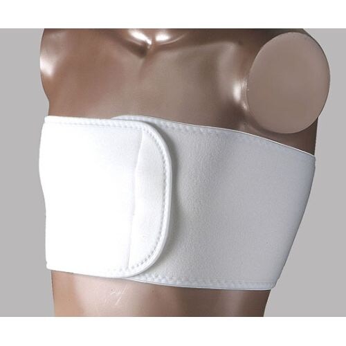 日本衛材 バストタイFX L