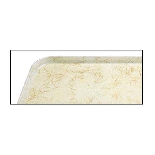 カムトレイ 2025(526)G/A/P/G