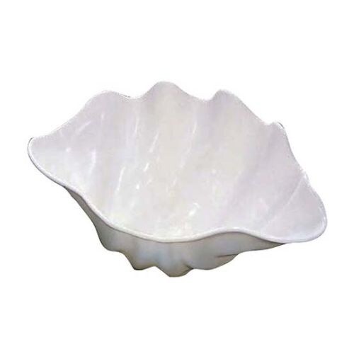シャコ貝 ホワイト M プラスチック