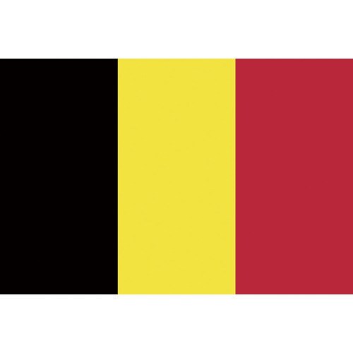 卓上旗(16×24cm)ベルギ−