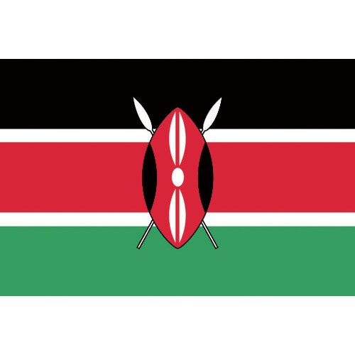 国旗No.1(70×105cm) ケニア