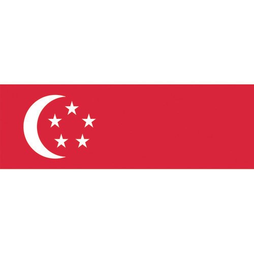 国旗No.1(70×105cm) シンガポ−ル