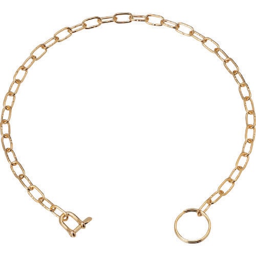 ステンレス ポケットチェーンSP型(ゴールド)