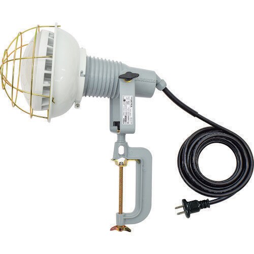 エコビックLED投光器40W 昼白色 2P