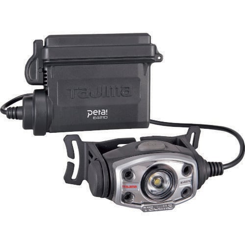 LEDヘッドライトE421Dセット