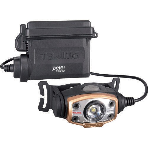 LEDヘッドライトE501Dセット