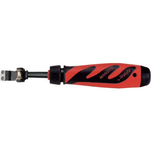 マンゴー2セット L