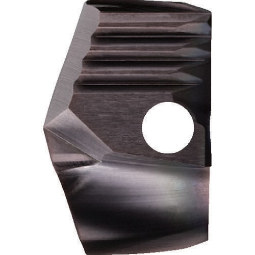 WS用チップ 6578993