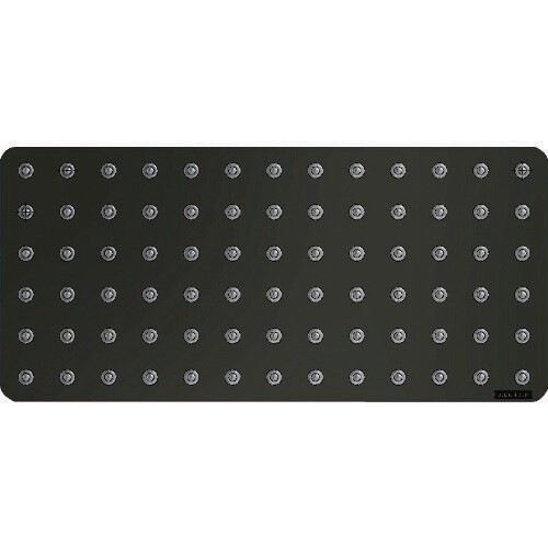 イグチベアー 1664785