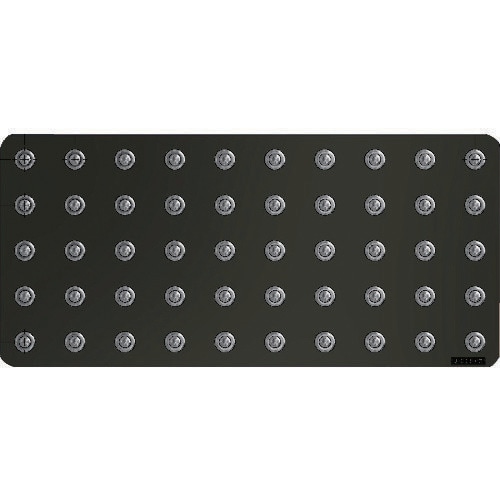 イグチベアー 1664791