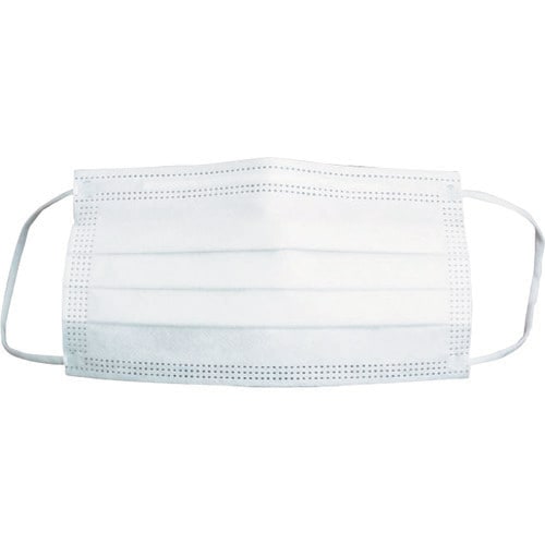 デイリーマスク(耳掛けタイプ)3層(50枚入)