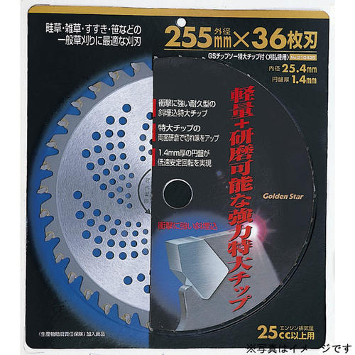 GS チップソー特大チップ付 230x36P