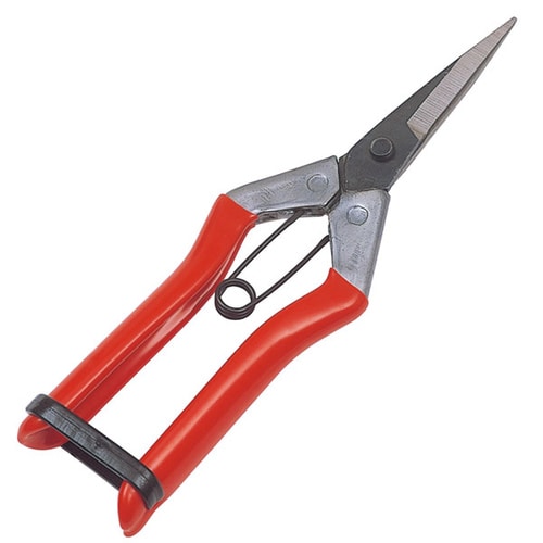 GS #2286 大福 芽切鋏