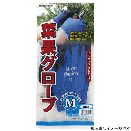 GS 菜果グローブ(L) ブルー