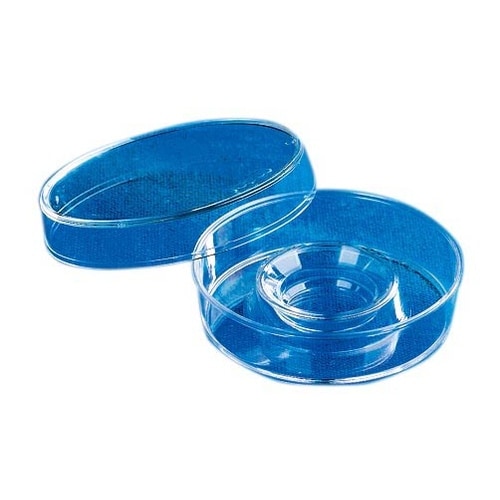 Costar センターウェルディッシュ3260