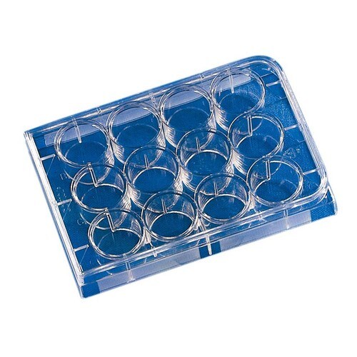 マルチプルウェルプレート(100枚入) 3736