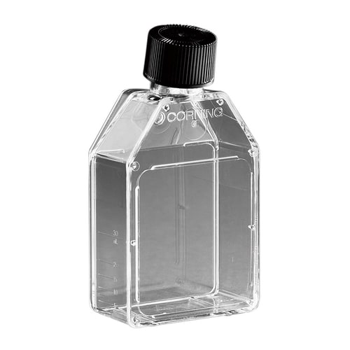 組織培養用フラスコ(25cm2) 430168