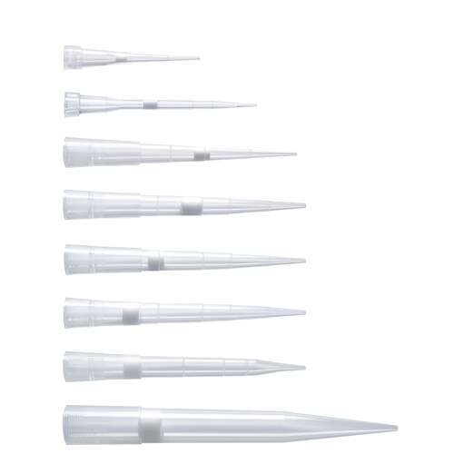 フィルターチップ PP製 50μl 目盛付