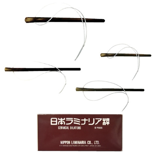 日本ラミナリア桿 BL(12ホンイリ)