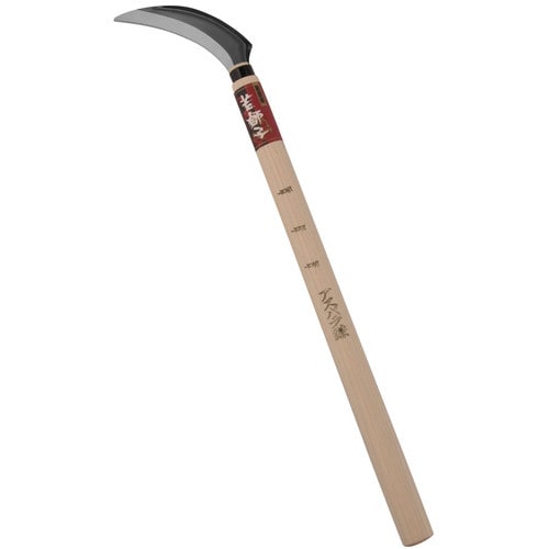 若獅子 アスパラ鎌