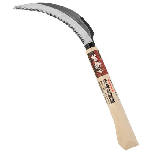 若獅子 SKノコ鎌 普通目