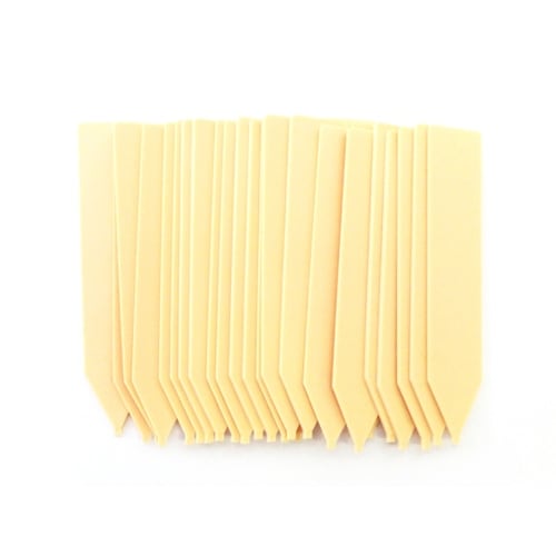 自然 立型ラベル 木地6cm 25枚