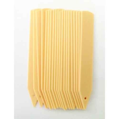 自然 立型ラベル 木地9cm 20枚