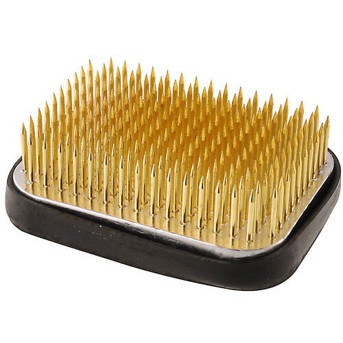 自然 剣山 角 小