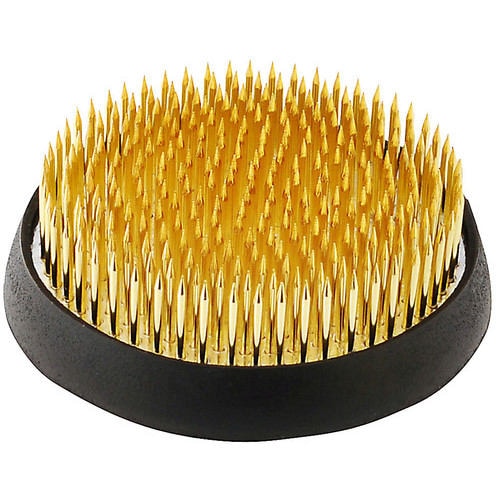 自然 剣山 丸 中