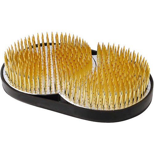 自然 剣山 日月 大