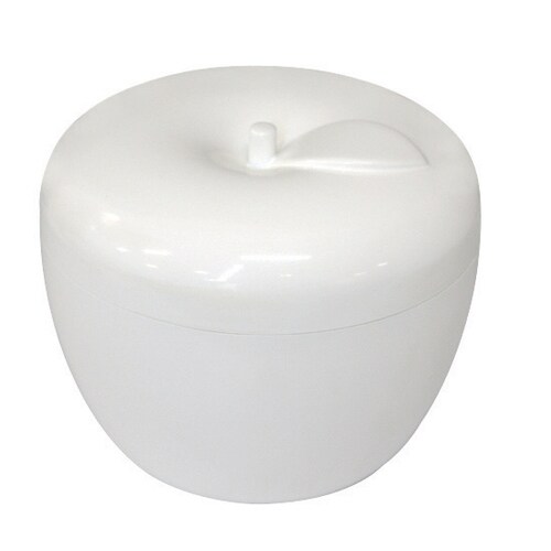 テイコブ入れ歯ケース/ホワイト×6