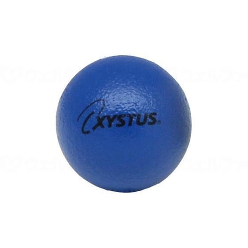 ソフトフォームボール90/青×2