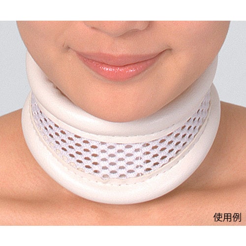 ドルフハード 1号 M