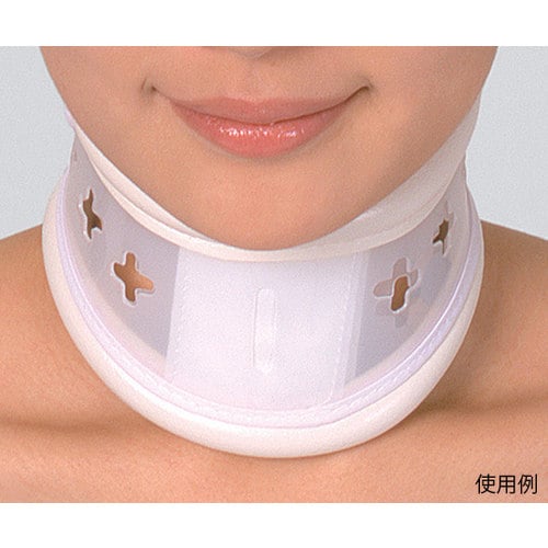 ドルフハード 3号 S