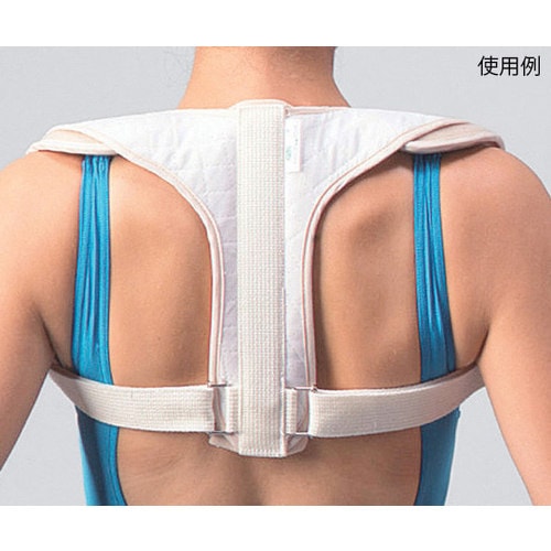 ニュートラビクルバンド LL