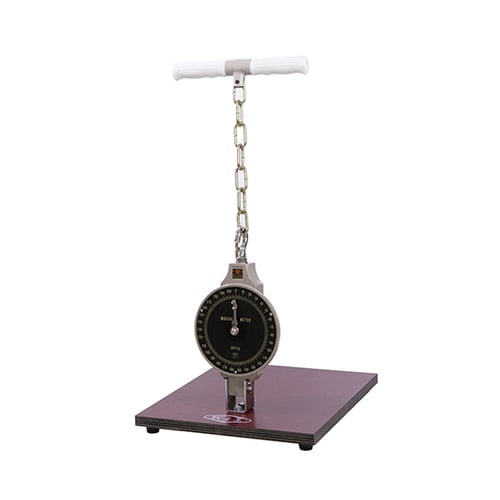 スタンダード型背筋力計300kg