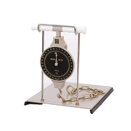 L型スタンド付背筋力計300kg