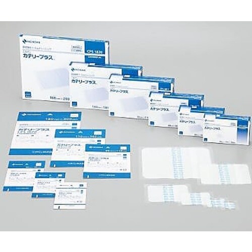 カテリープラス