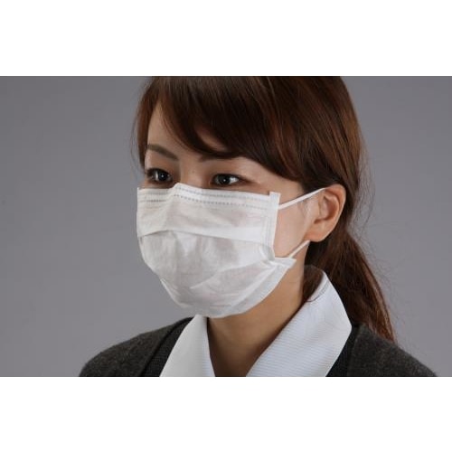 マスク(簡易粉塵/100枚)