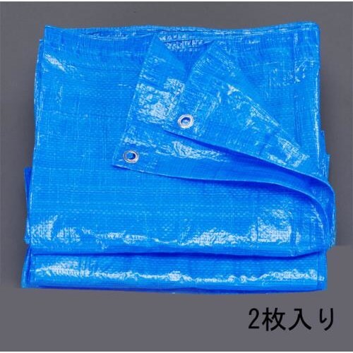 ブルーシート(2枚)10x10m/0.06mm